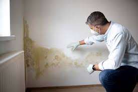 Best Real Estate Mold Inspection in Clinton, OH